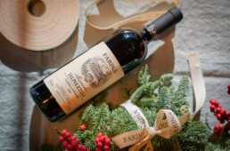 Alessandro Valpolicella DOC Classico Superiore 2023