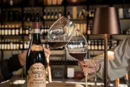 Amarone della valpolicella dell'azienda vinicola Farina Wines
